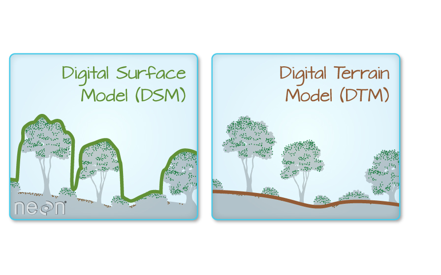 DSM-DTM